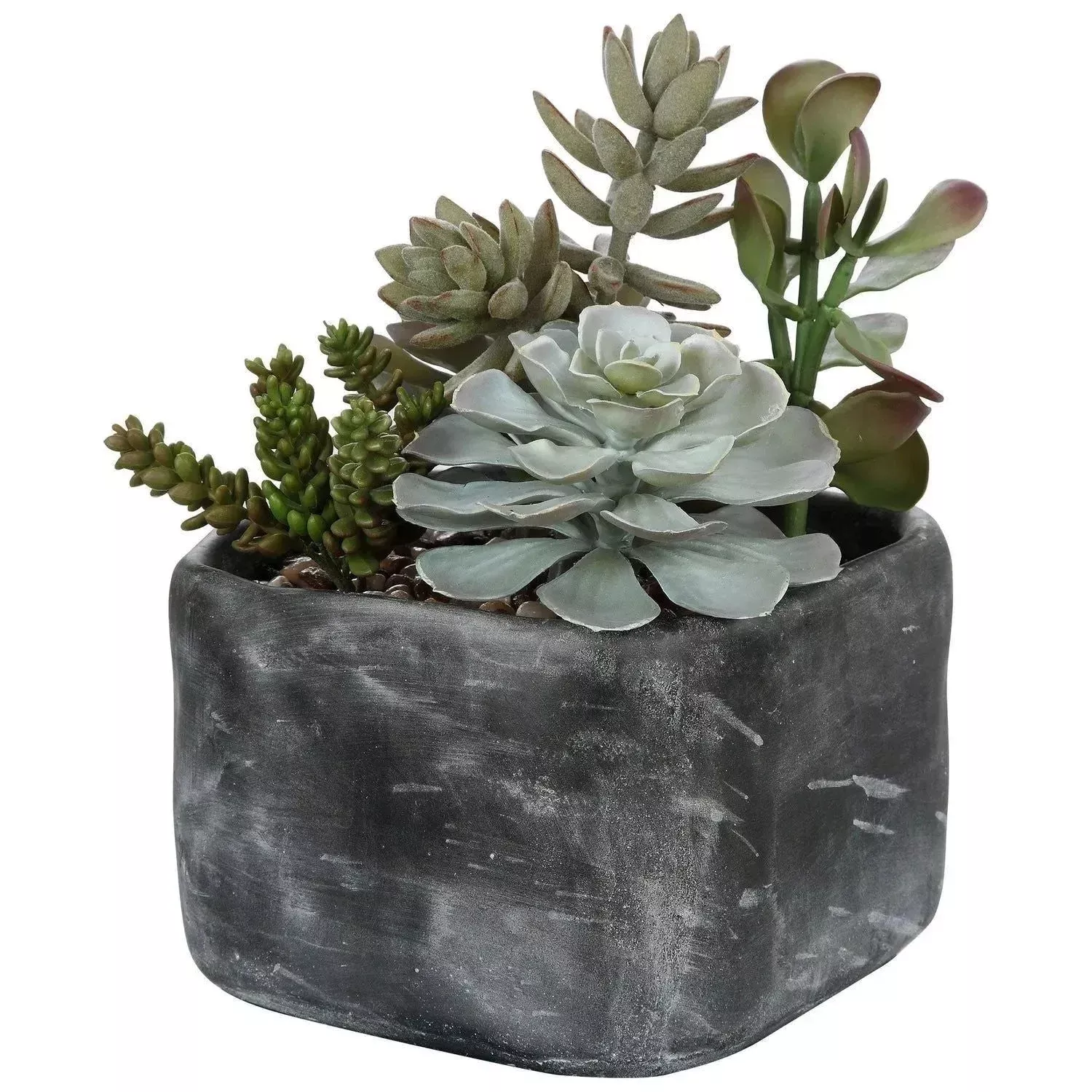 Alverio Succulents