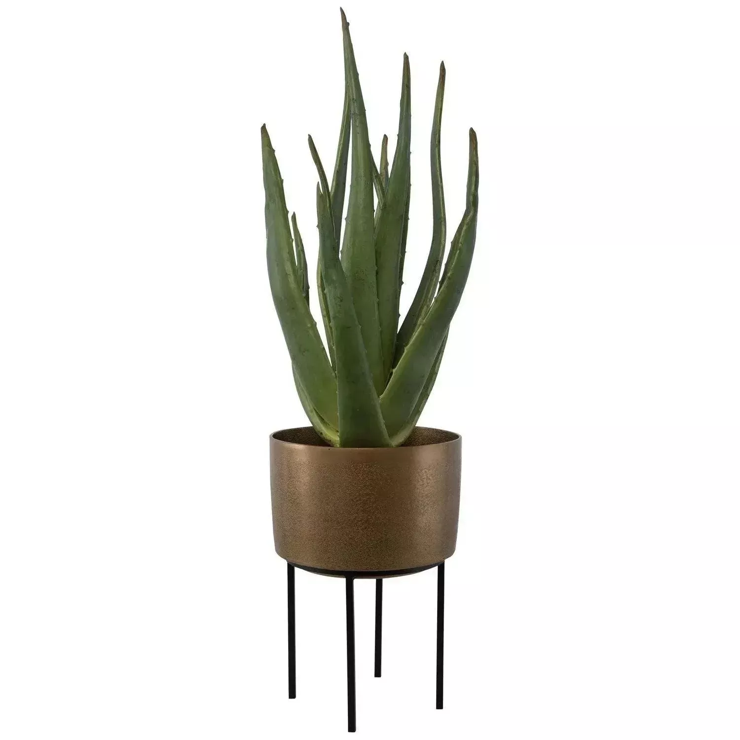 Arabia Planter