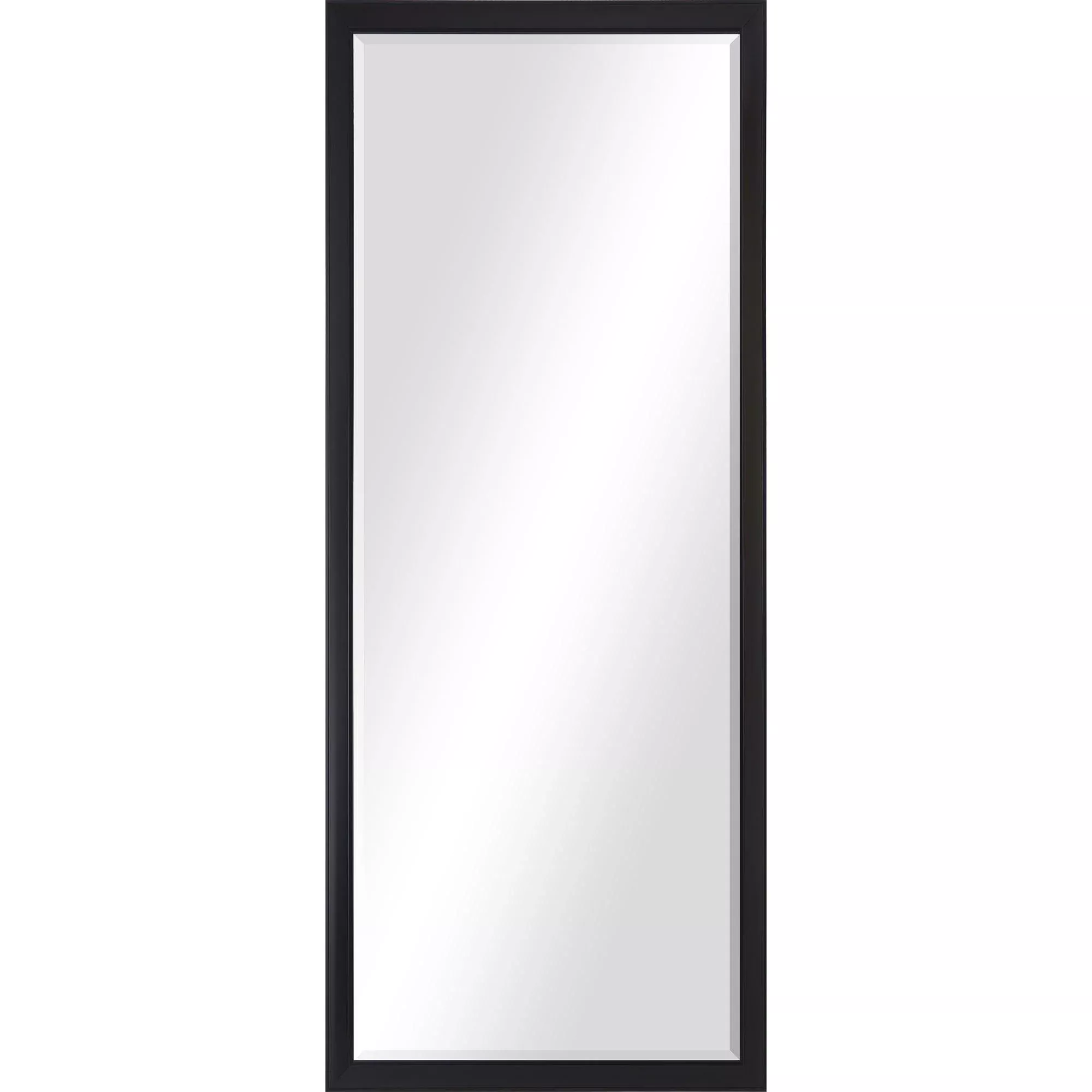 Delacorte Mirror