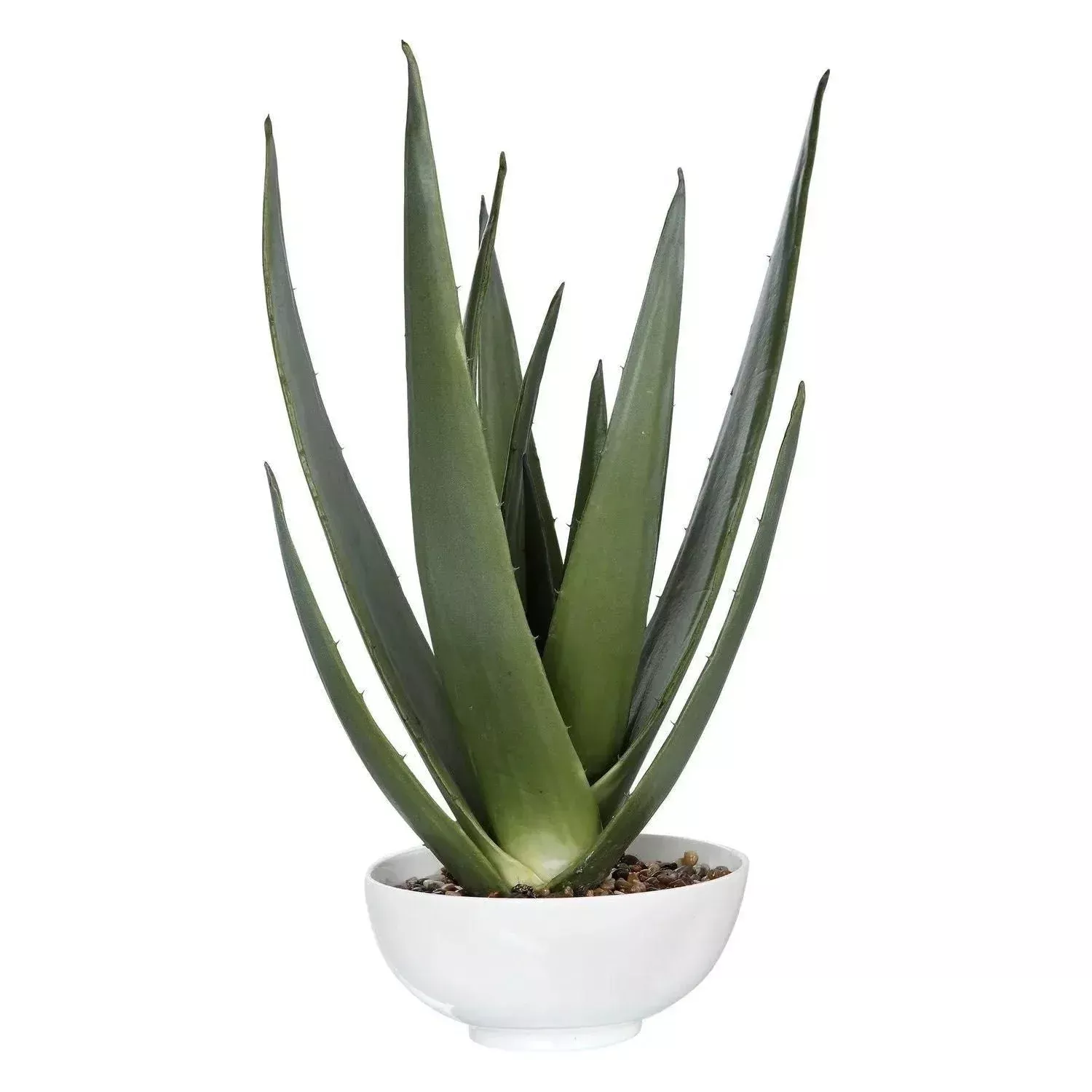 Evarado Planter